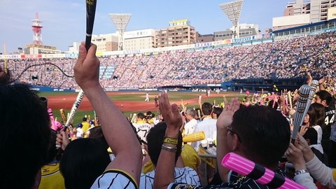 00_横浜5-5阪神(ハマスタ)試合中と試合後 (72).jpg
