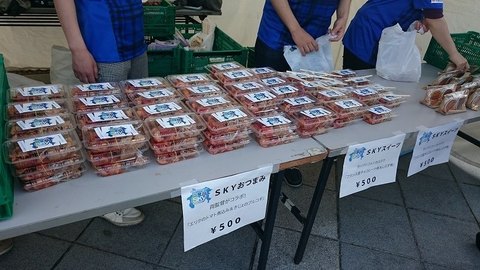 01_スタジアム入場後試合開始まで (17).jpg