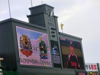 01_甲子園中試合開始前 (5).jpg