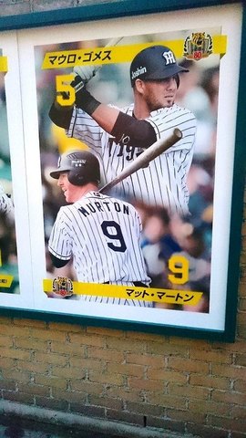 03_甲子園試合終了後外 (7).jpg