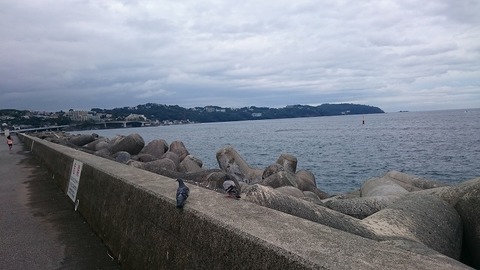 04_湯河原にて (16).jpg