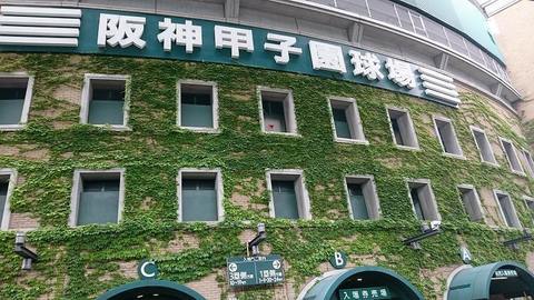10_甲子園球場試合前 (2).jpg