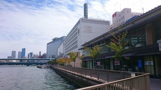 13_水都大阪フェス(あひるちゃん@中之島公園) (61).jpg