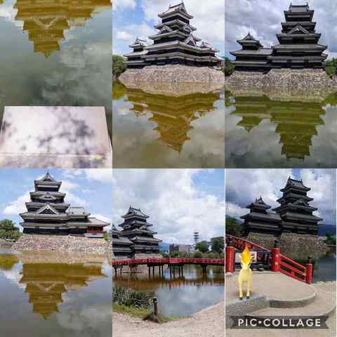 1565670715290.jpg