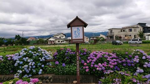 180616-120758-DSC_0038.jpg