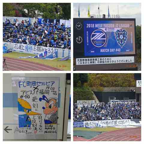 181104-134103-DSC_0205-COLLAGE.jpg