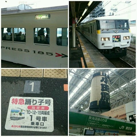 185系踊り子(小田原駅).jpeg