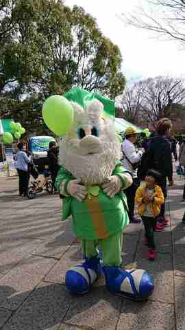 190317-133254-DSCPDC_0001_BURST20190317133255045_COVER.jpg