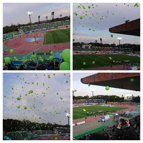 190317-165814-DSC_0075-COLLAGE.jpg