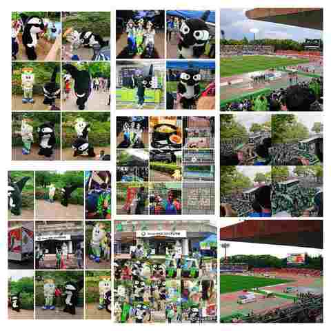 190504-043355-JPEG_20190504_133500_3338083197817310270-COLLAGE.jpg