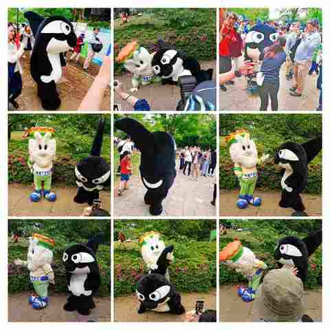190504-144122-DSC_0071-COLLAGE.jpg