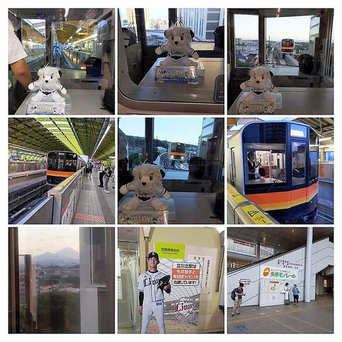 190813-180234-2019-08-13-18-02-33-COLLAGE.jpg