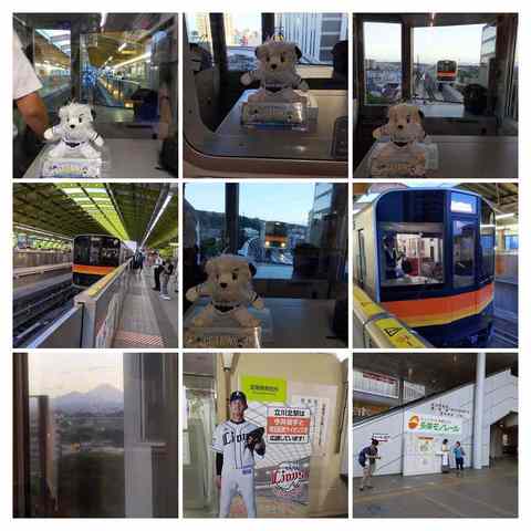 190813-180234-2019-08-13-18-02-33-COLLAGE.jpg