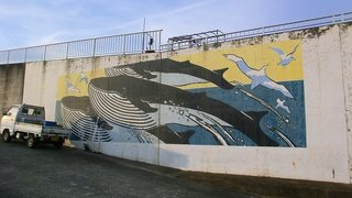 20150125_平塚漁港&湘南潮来 (46).jpg