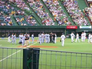 20150531_8_西武9ー4阪神(西武プリンスD) (68).jpg