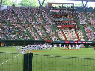 20150531_8_西武9ー4阪神(西武プリンスD) (69).jpg
