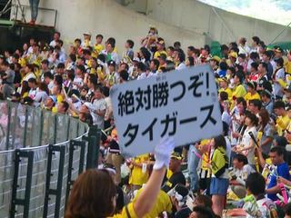 20150531_8_西武9ー4阪神(西武プリンスD) (91).jpg