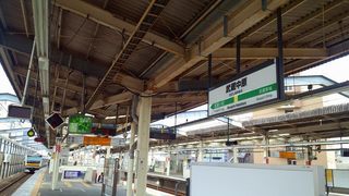 20150607_武蔵中原駅 (2).jpg