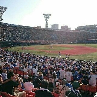 20150810032440614.jpeg