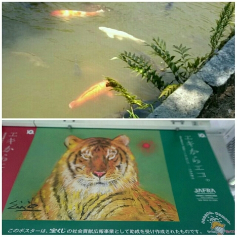 20160812060023964.jpg