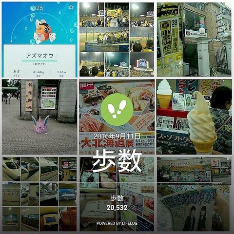 20160911_2万歩超え.jpg