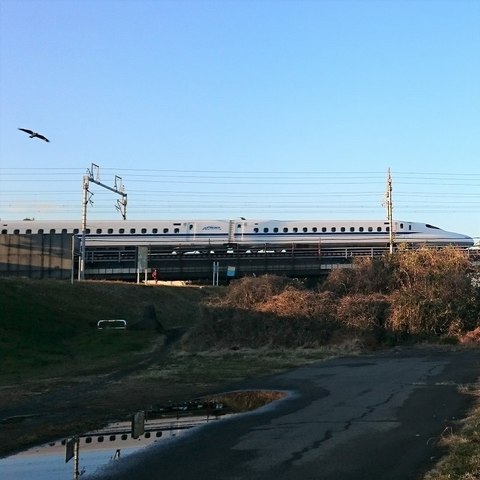 2017-01-09 (12-2).jpg