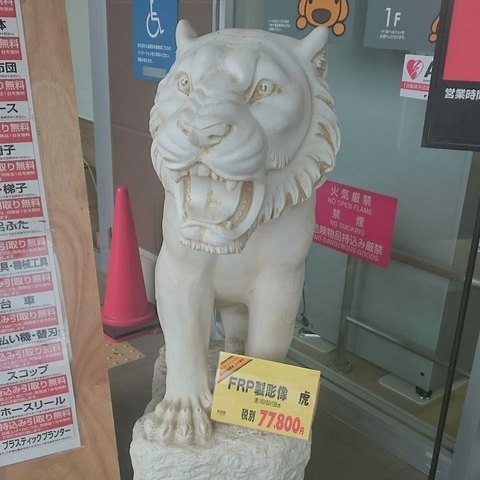 2017-05-10 (tora).jpg