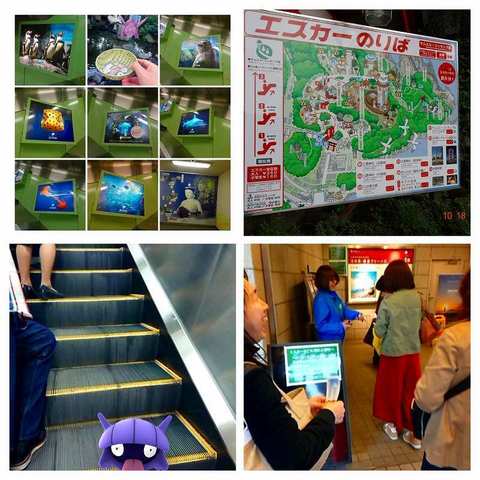 2017-10-18-エスカー-COLLAGE.jpg
