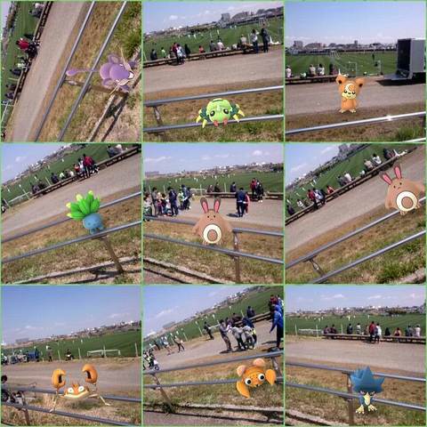 20170403124418_p.jpg