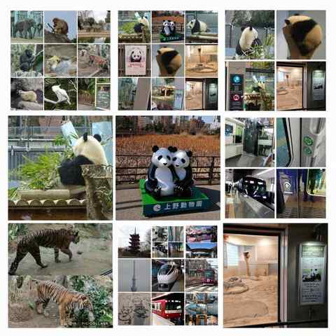 20180216総括-COLLAGE .jpg