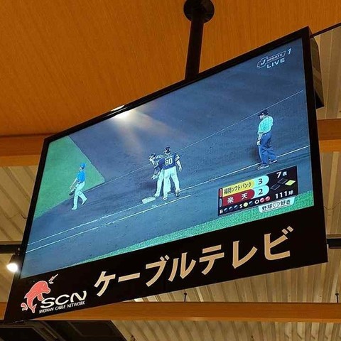 2019-08-15-19-40-54-2.jpg