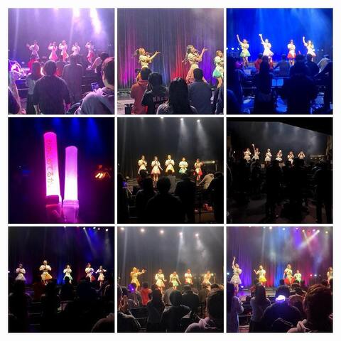 20250209_112845274-COLLAGE.jpg