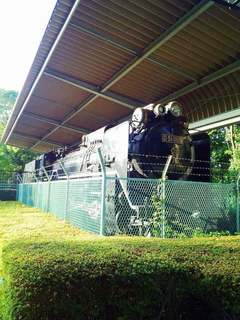 2050505_若宮公園(厚木市森の里) (20).jpg