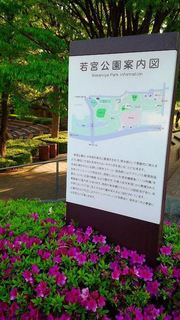 2050505_若宮公園(厚木市森の里) (4).jpg