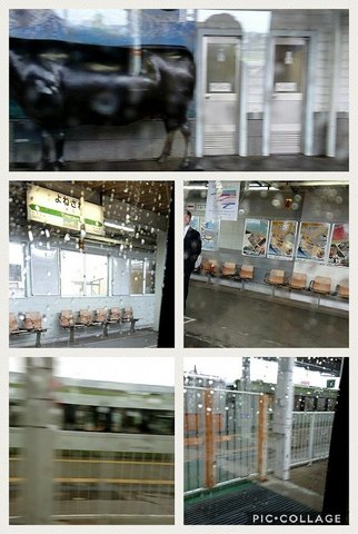 Collage 2017-07-22 12_09_05.jpg