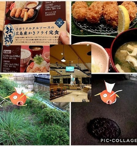 Collage 2017-09-08 03_58_09_crop_501x536.jpg