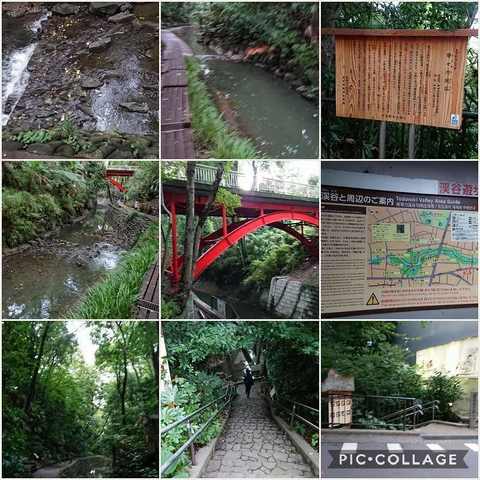 Collage 2017-09-28 17_34_51.jpg