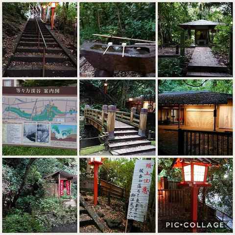 Collage 2017-09-28 17_36_10.jpg