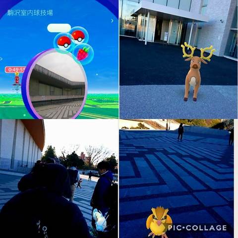 Collage 2018-01-14 15_47_49.jpg