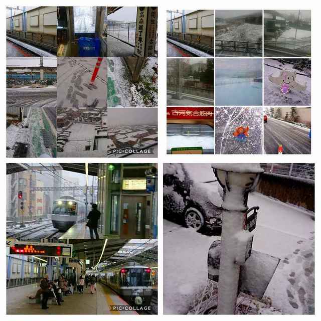 Collage 2018-01-22 15_16_18-COLLAGE.jpg