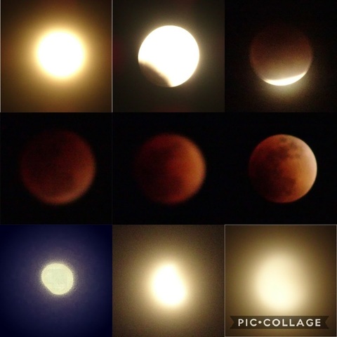 Collage 2018-01-31_皆既月食.jpg