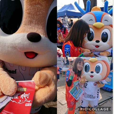 Collage 2018-02-24 ゼイワン開幕 (16).jpg