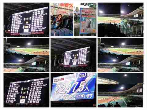Collage 2018-03-02 19_51_16-COLLAGE_R.jpg