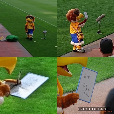 Collage202018-06-102001_41_34.jpg