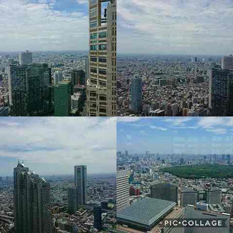 Collage 2018-06-28 12_41_06.jpg