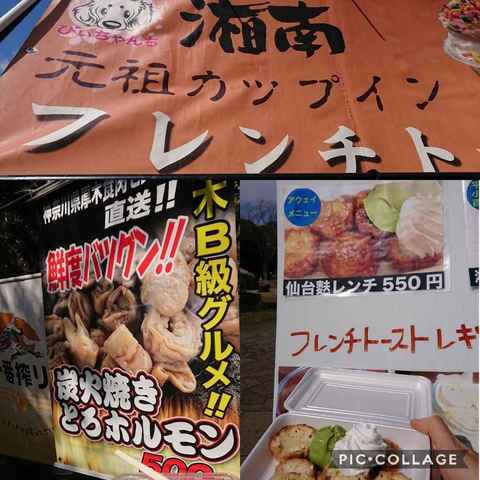 Collage 2019-03-17 14_32_45.jpg
