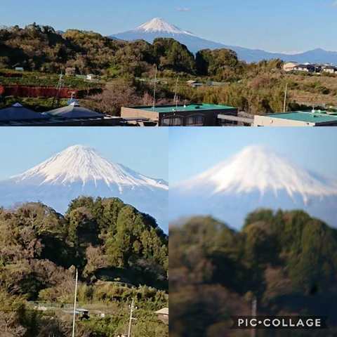 Collage 2019-03-31 16_42_49.jpg