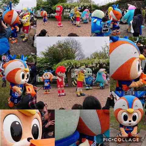 Collage 2019-04-29 04_10_04.jpg