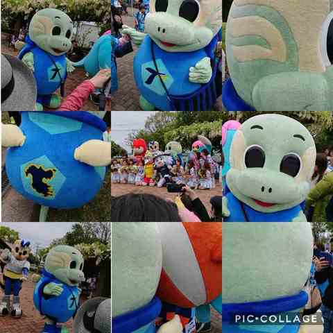Collage 2019-04-29 04_14_09.jpg