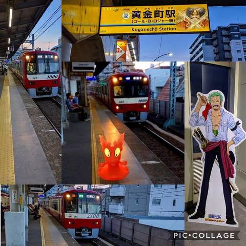 Collage 2019-08-05 08_28_03.jpg